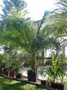 IMG_0983.jpg