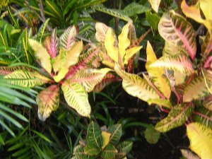 DSCN2335.jpg