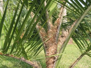 IMG_1098.jpg