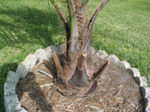 IMG_1097.jpg