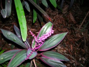 DSCN4828.jpg