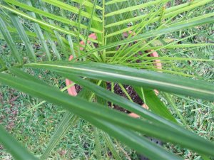 IMG_1218.jpg