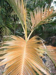 IMG_1253.jpg