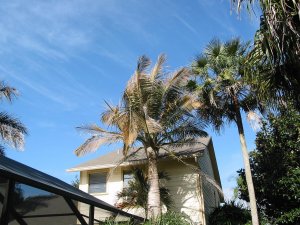 IMG_1282.jpg