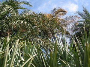 IMG_1306.jpg