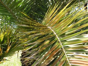 IMG_1367.jpg