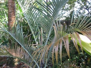 IMG_1276.jpg