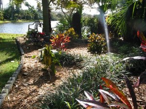 IMG_1391.jpg