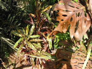 IMG_1362.jpg