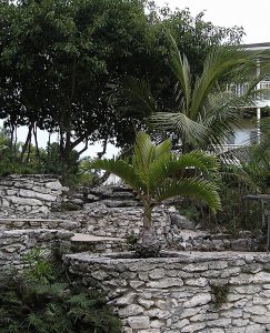 P1220006.jpg