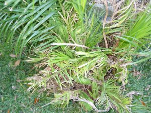 IMG_1439.jpg