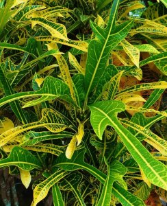 3 PHILADELPHIA-CLOSEUP OF FOTO #17.jpg