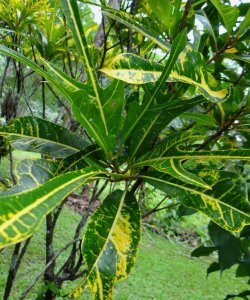 5 PHILADELPHIA-CLOSEUP.jpg