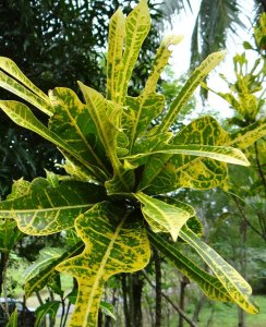 6 PHILADELPHIA-CLOSEUP.jpg