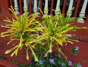 9 PHILADELPHIA-A LITTLE GEM.jpg