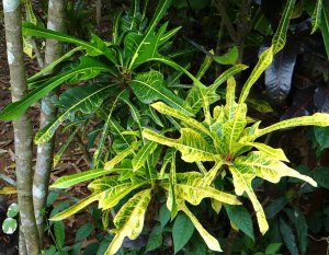 10 PHILADELPHIA-OPEN SHADE 24-7.jpg