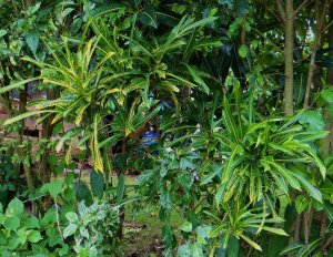 11 PHILADELPHIA-OPEN SHADE 24-7.jpg