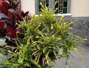 13 PHILADELPHIA-RIO de ORO CHURCH.jpg