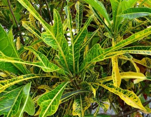 15 PHILADELPHIA-CLOSEUP.jpg