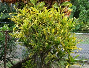 17 PHILADELPHIA-MOTHER PIC FOTOS 3-15-16.jpg