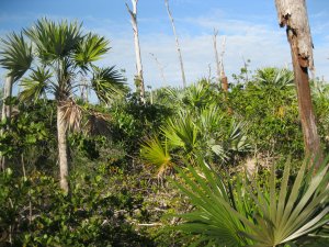 IMG_1659.jpg