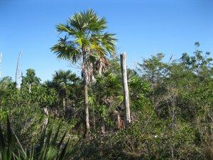 IMG_1658.jpg