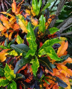 2. MID-RANGE VIEW.jpg