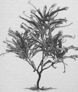 06 MULTICOLOR ILLUSTRATION.jpg