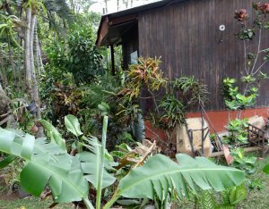 15 MULTICOLOR-CLUTTERED GARDEN.jpg