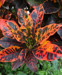 04 STEWARTII-NO DIRECT SUN 24-7.jpg