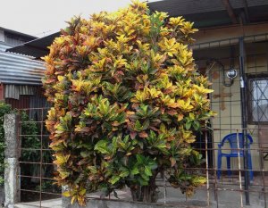 07 STEWARTII-FRONT PORCH IN ESCAZU.jpg