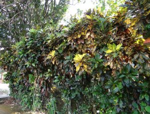 14 STEWARTII-ALL IN A ROW.jpg