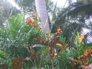 DSCN4901.jpg