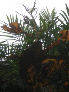 DSCN4902.jpg