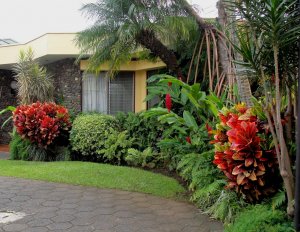 16 PETRA DUO IN FRONT YARD FACING NORTHWEST.jpg