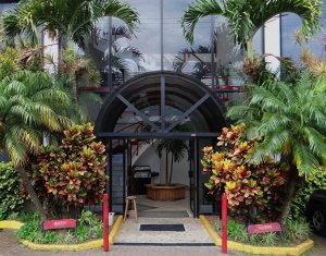 18 PETRAS & PALMS-DIFFICULT TO GO WRONG WITH THIS COMBINATION.jpg