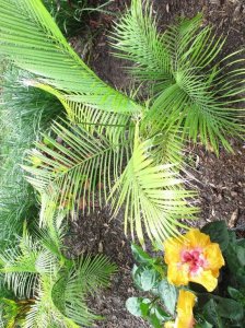 IMG_9197.JPG