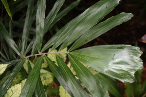 IMG_4766.JPG