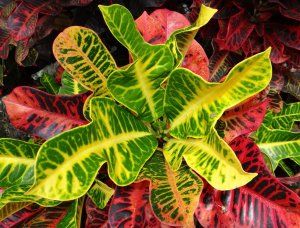 02 BRAVO-NEW FLUSH DTDSEP2013.JPG