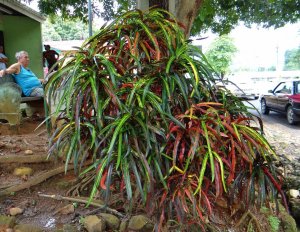 13 COUNTRY TOWN DSC02013.JPG