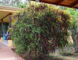 16 BOUTIFQUE HOTEL DSC03979.JPG