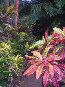 DSCN4715.JPG