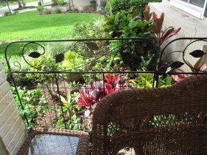 IMG_0091.jpg