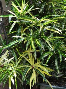 05 EDWIN T. MEREDITH-CLOSEUP DSC05675.JPG