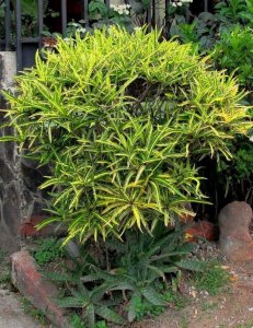 08 EDWIN T. MEREDITH-FULL VIEW.JPG