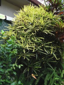 09 EDWIN T. MEREDITH- FULL VIEW DSC05616.JPG