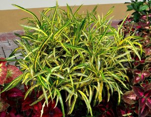 12 E.T. MEREDITH DSC00222.JPG