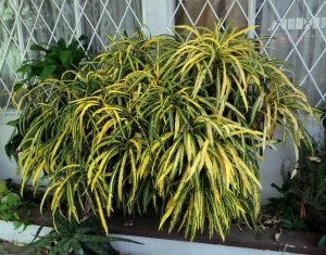 13 E.T. MEREDITH DSC04649.JPG