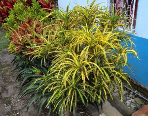 14 E.T. MEREDITH DSC09169.jpg