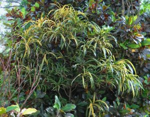 15 E.T. MEREDITH DSC02698.JPG